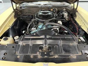 1968 Pontiac GTO Convertible