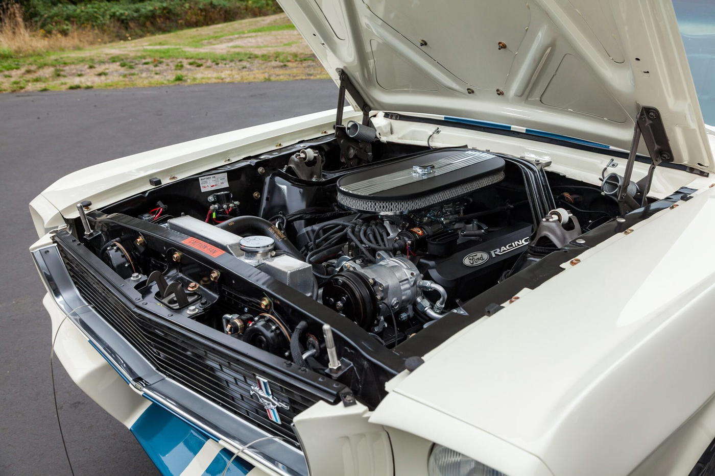 1966 Ford Mustang Fastback GT350-Style