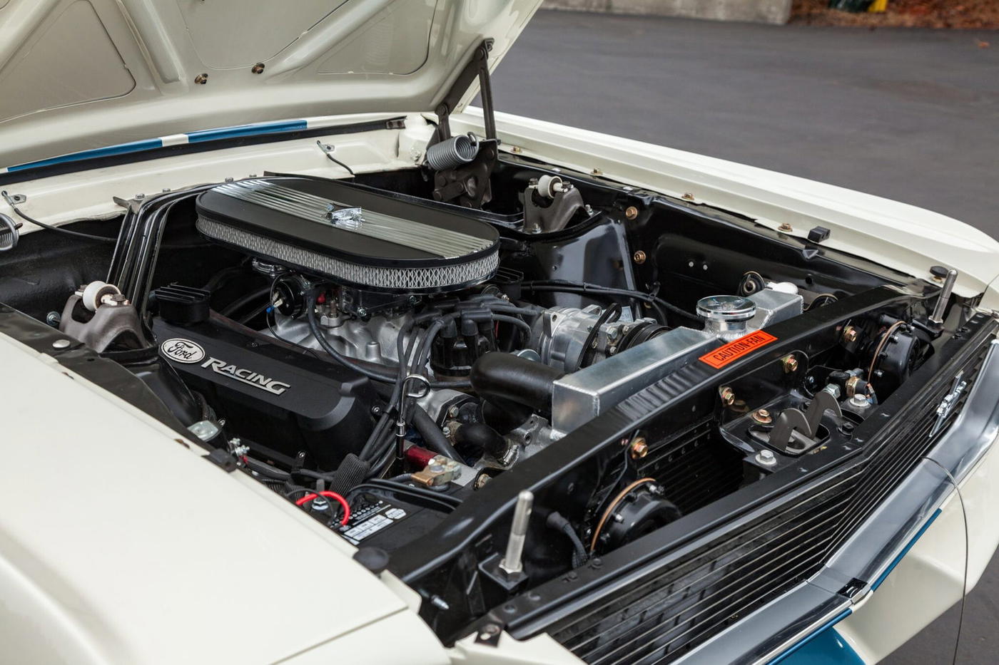 1966 Ford Mustang Fastback GT350-Style