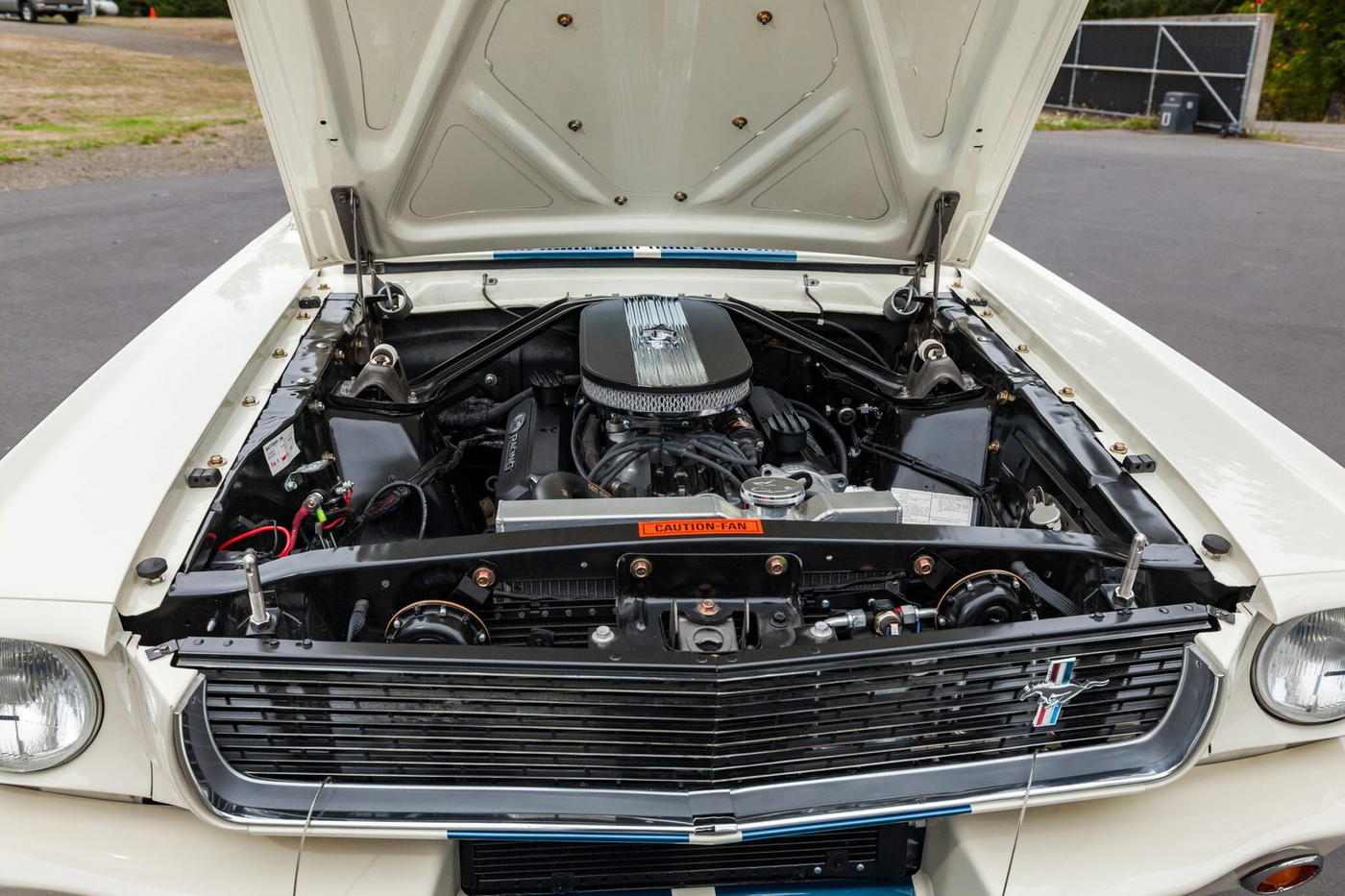 1966 Ford Mustang Fastback GT350-Style